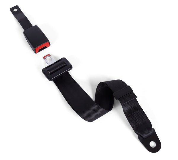 2-Point non-retractable belts with custom buckles